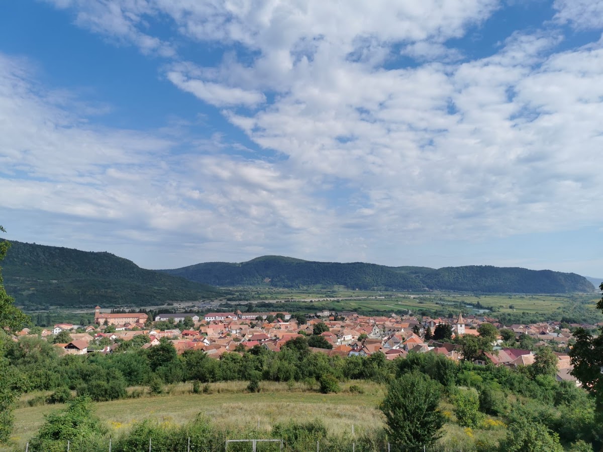 Calizas Eocenas de Turnu Roșu