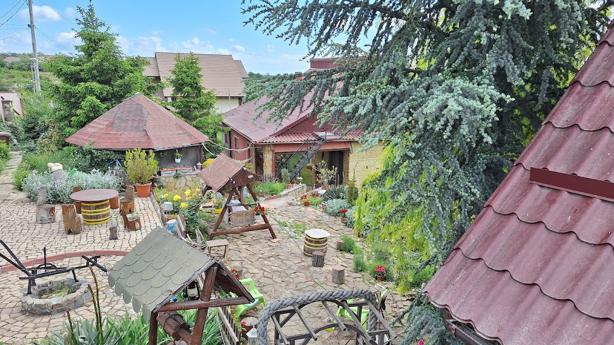 Casa Vladut