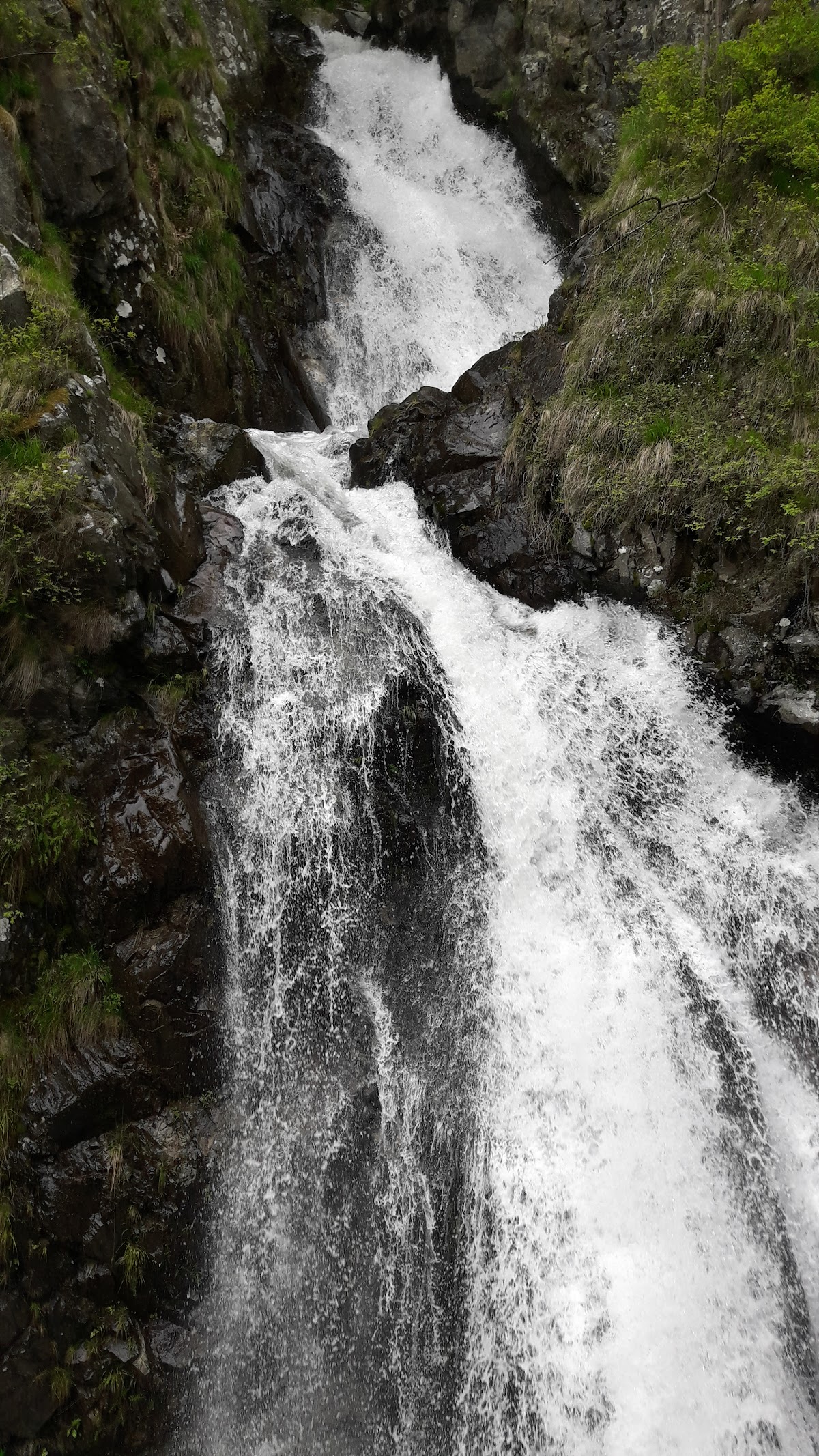 Cascada Sterminos