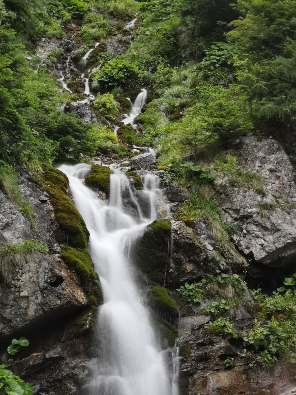 Cascada Valea Spumoasă