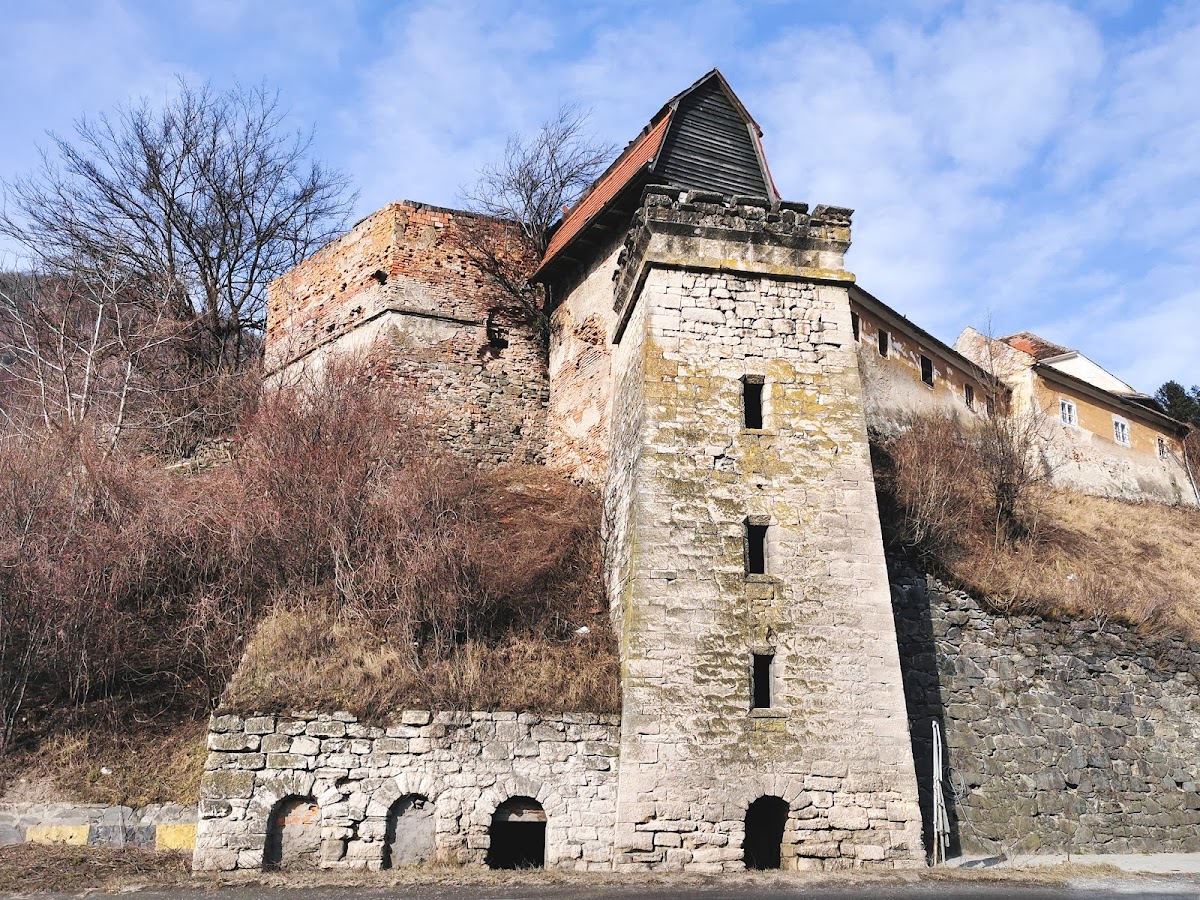 Castillo Turnu Roșu en Boița