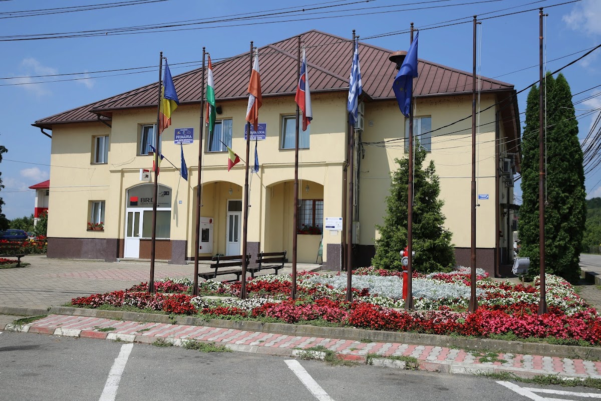 Civic center of Tautii-Magheraus