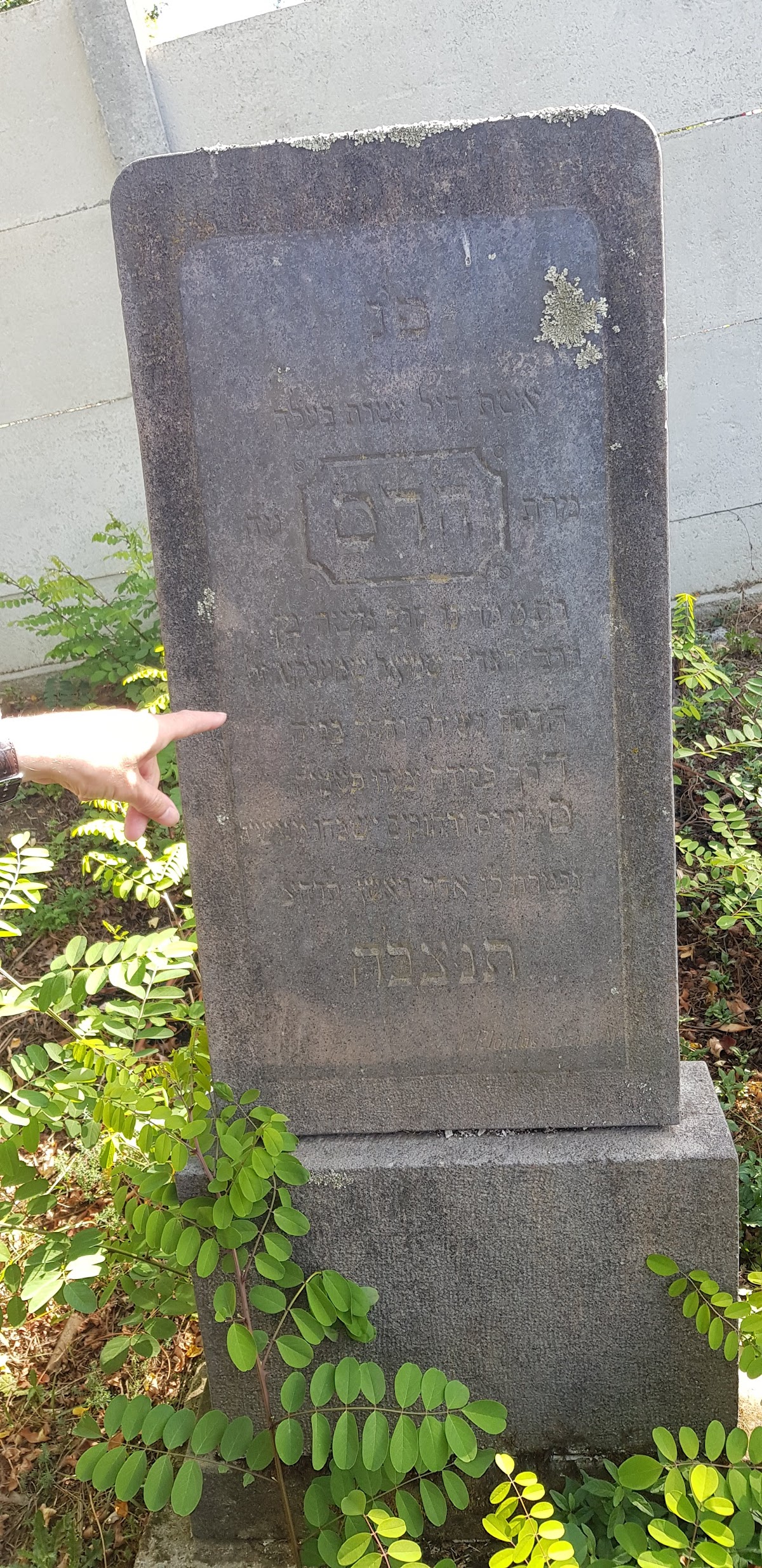 Cimitirul vechi Copalnic