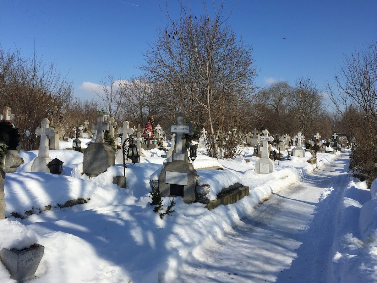 Cimitirul vechi Giuleşti