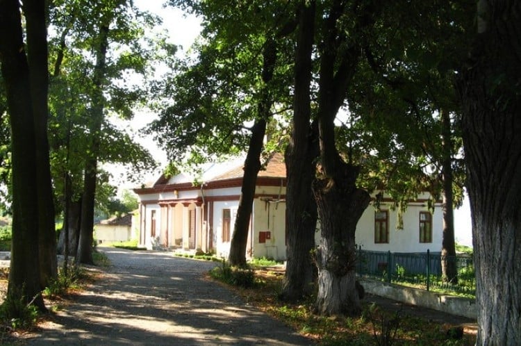 Toader Buhus Kastély