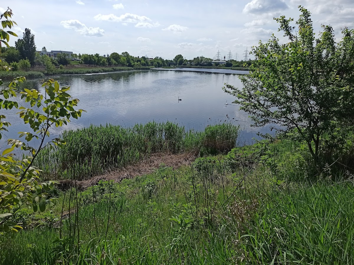 Delta Glina