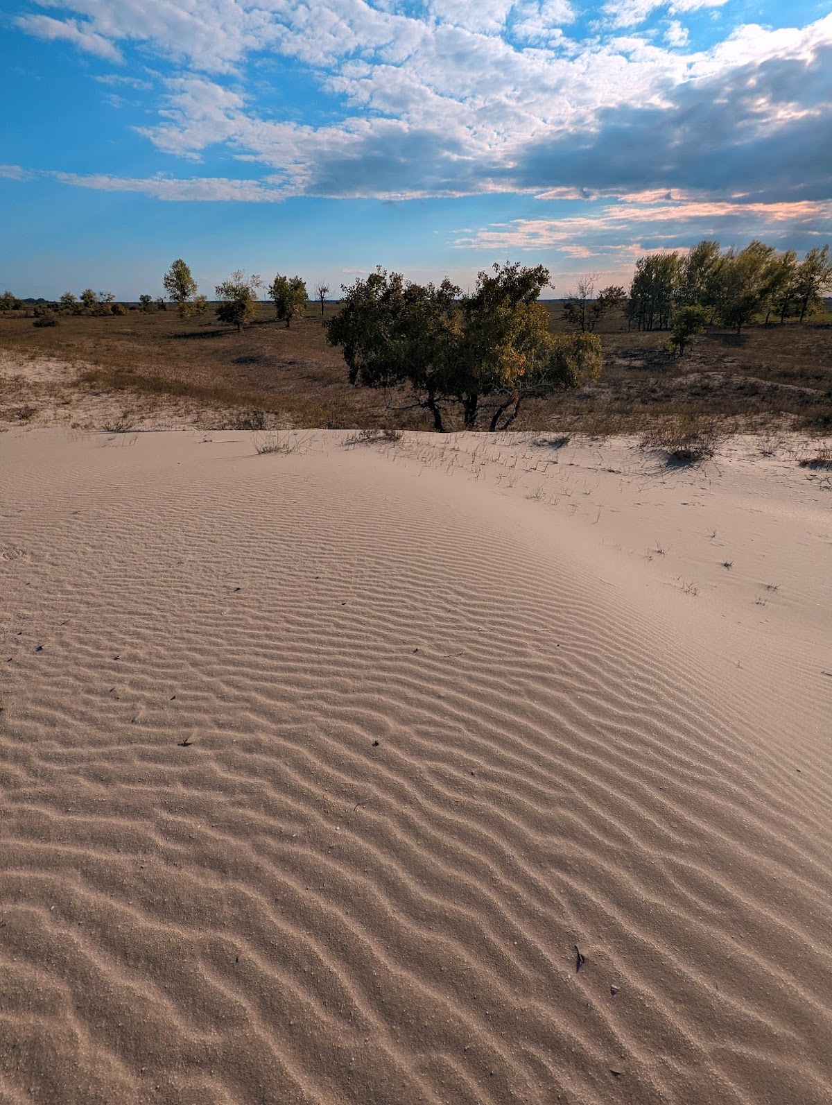 Dunas de Arena de Caraorman