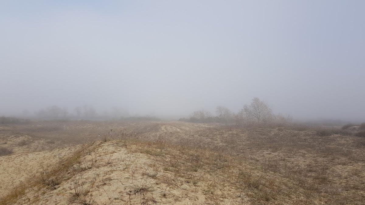 Dunele De Nisip de la Caraorman - foto 2