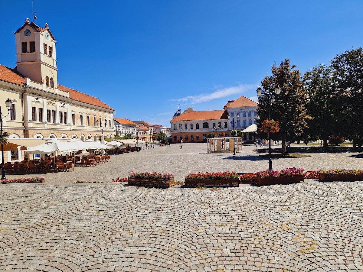 Erzsébet Park