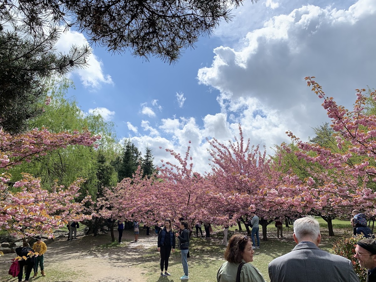 Jardín Japonés
