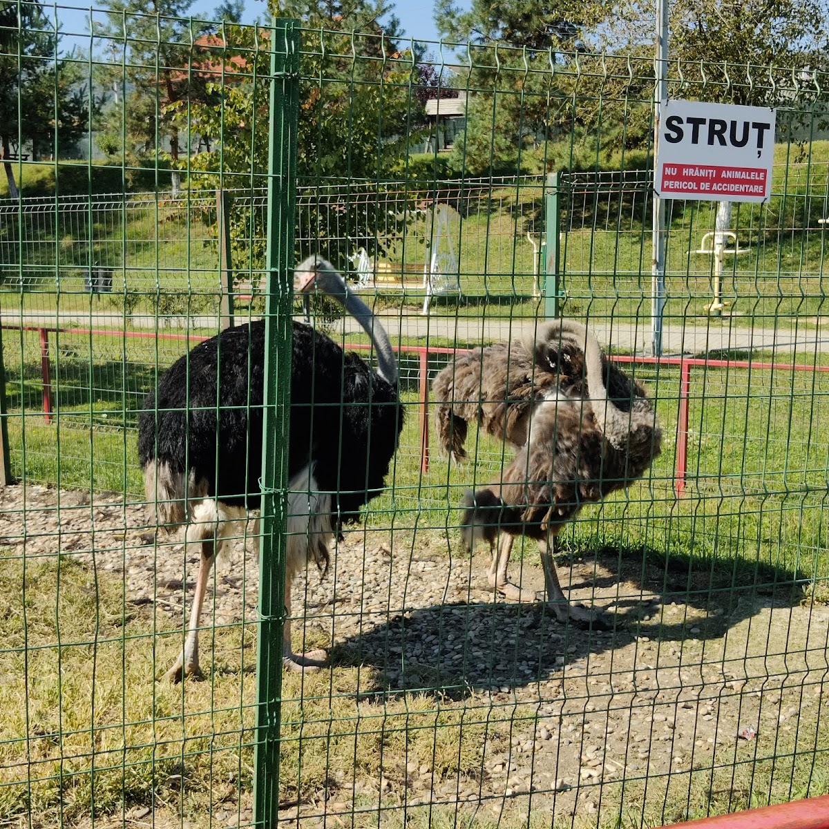 Zoo Bejan