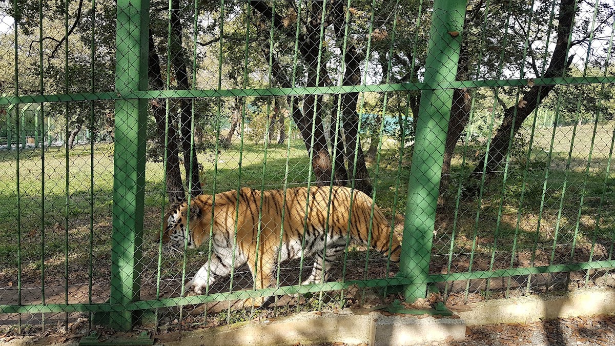 JARDÍN ZOOLÓGICO DE GALAȚI