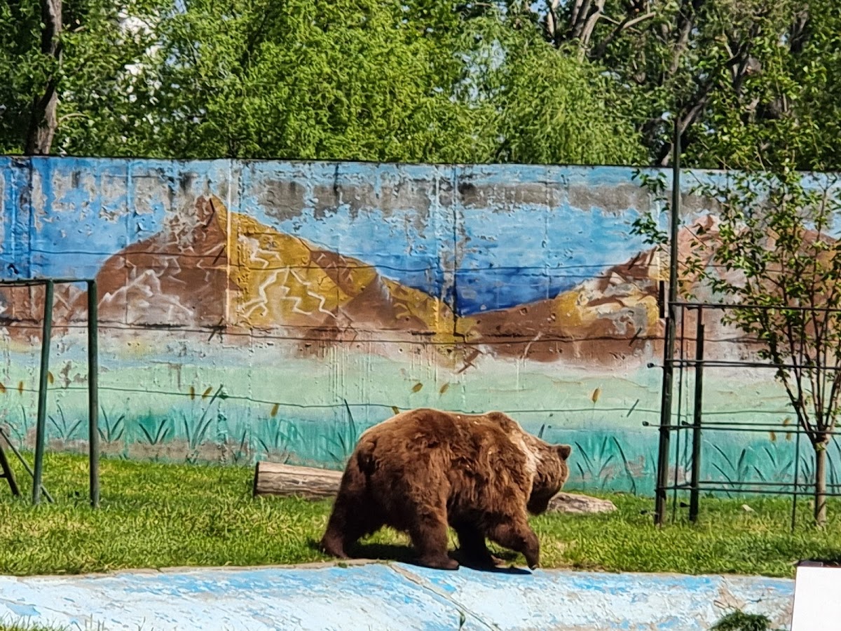 Zoo de Târgoviște