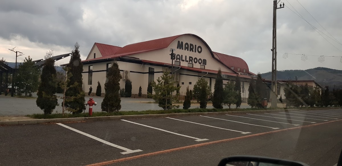 Hotel Mario Moinesti