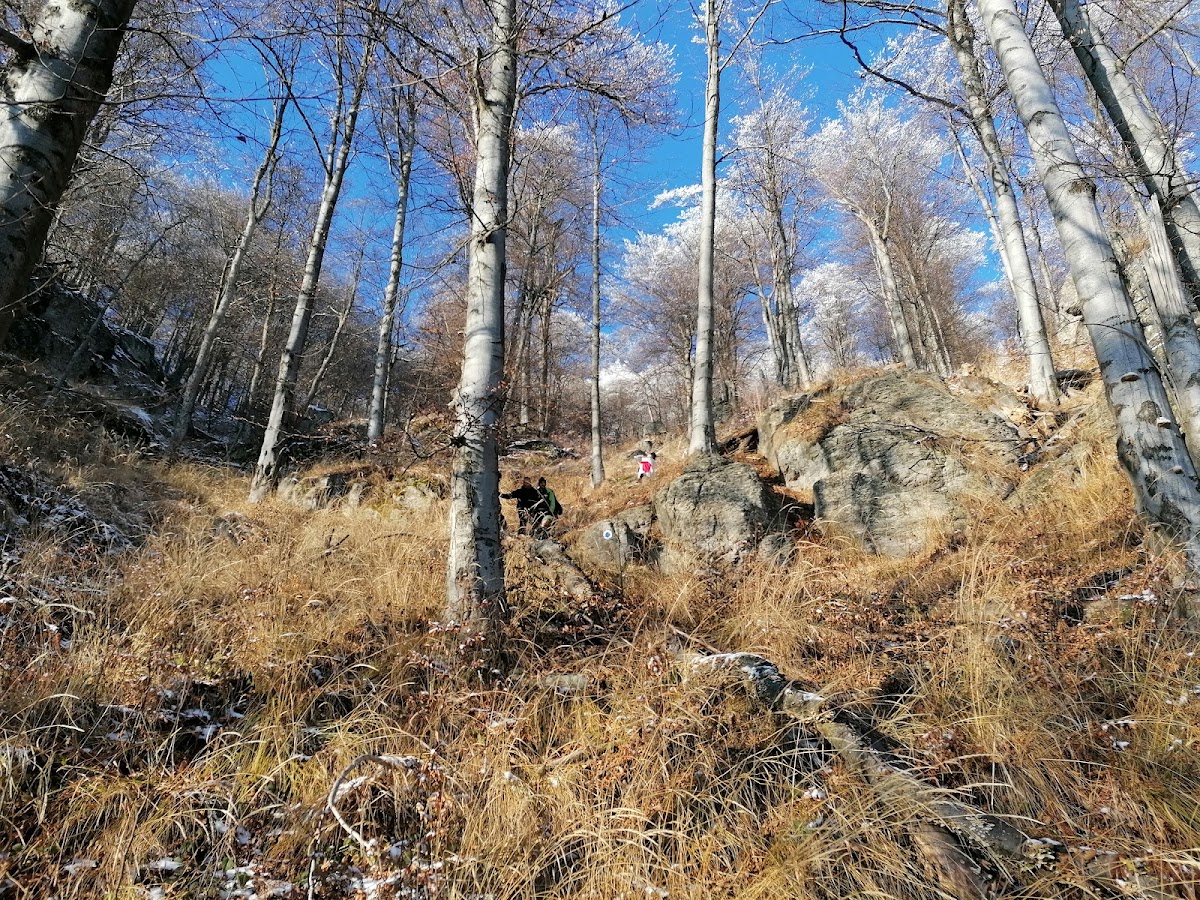 Sources naturelles Chiuzbaia