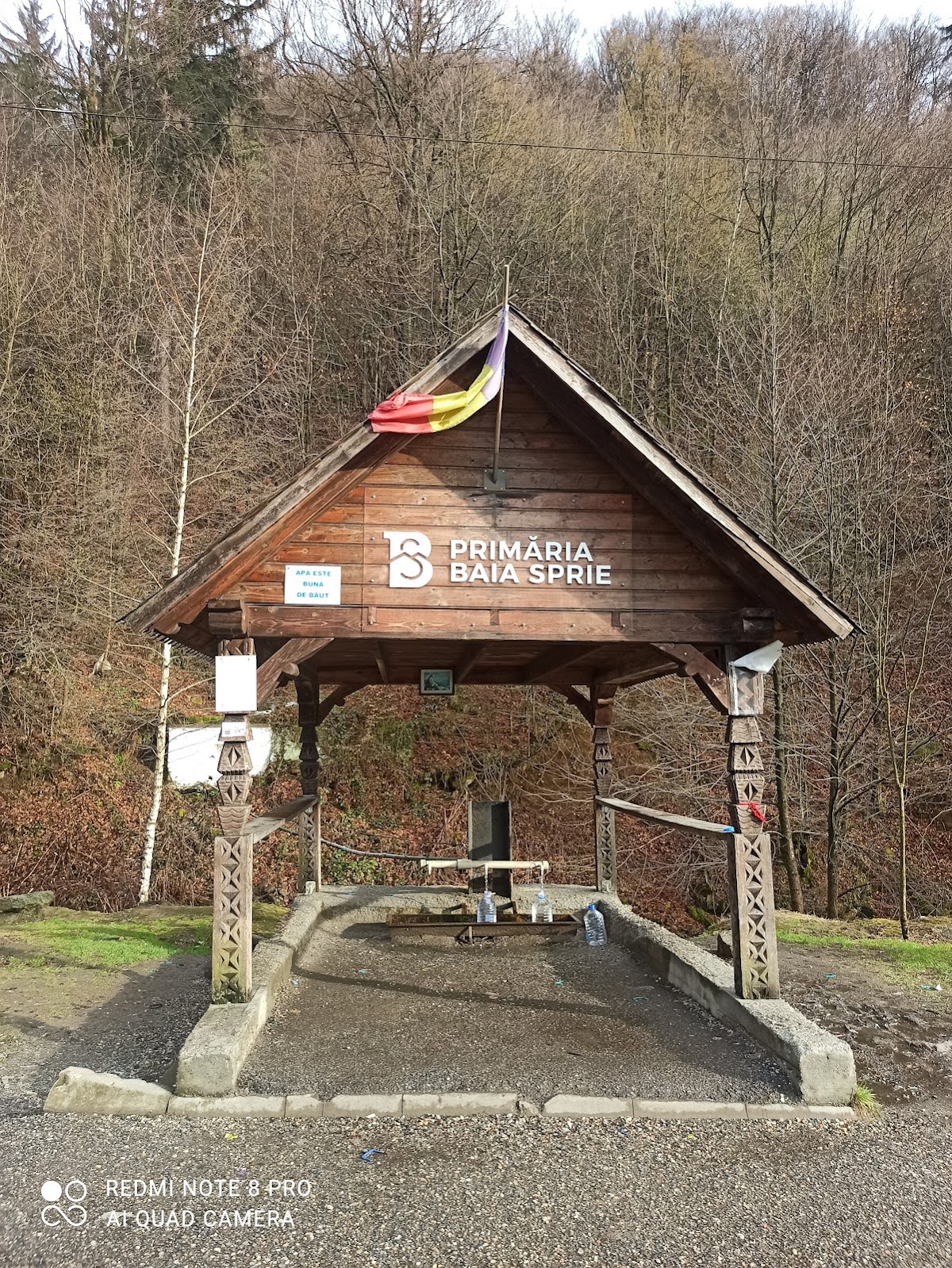 Termeszetes forrasok Inău - foto 2