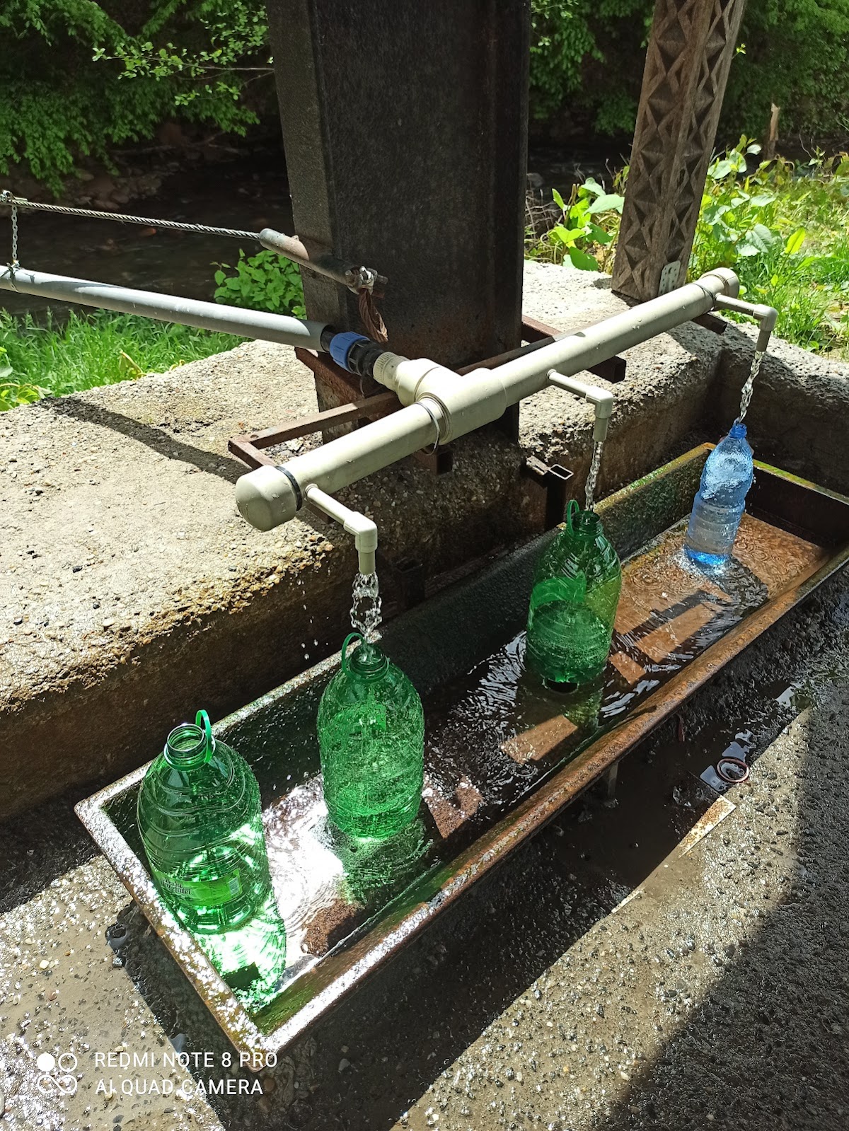 Termeszetes forrasok Inău - foto 3