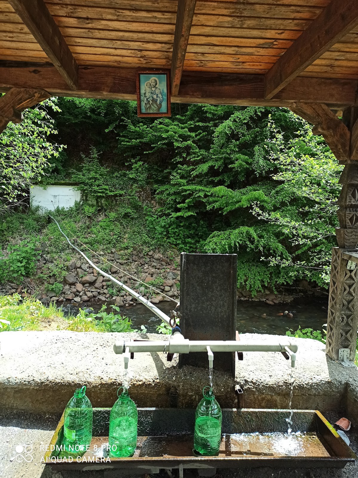 Termeszetes forrasok Inău - foto 5