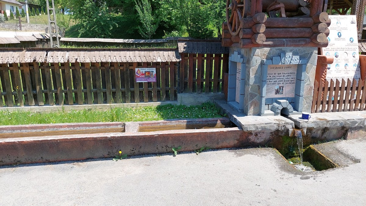 Natuerliche Quellen Săcălăşeni