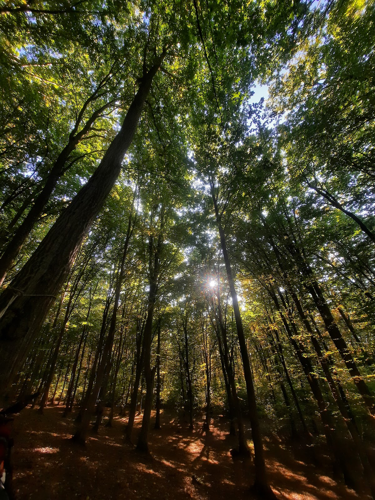 Termeszetes forrasok Sat-Şugatag - foto 5