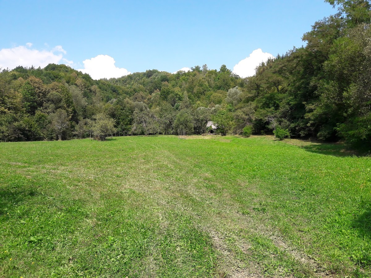 Natuerliche Quellen Valea Vişeului