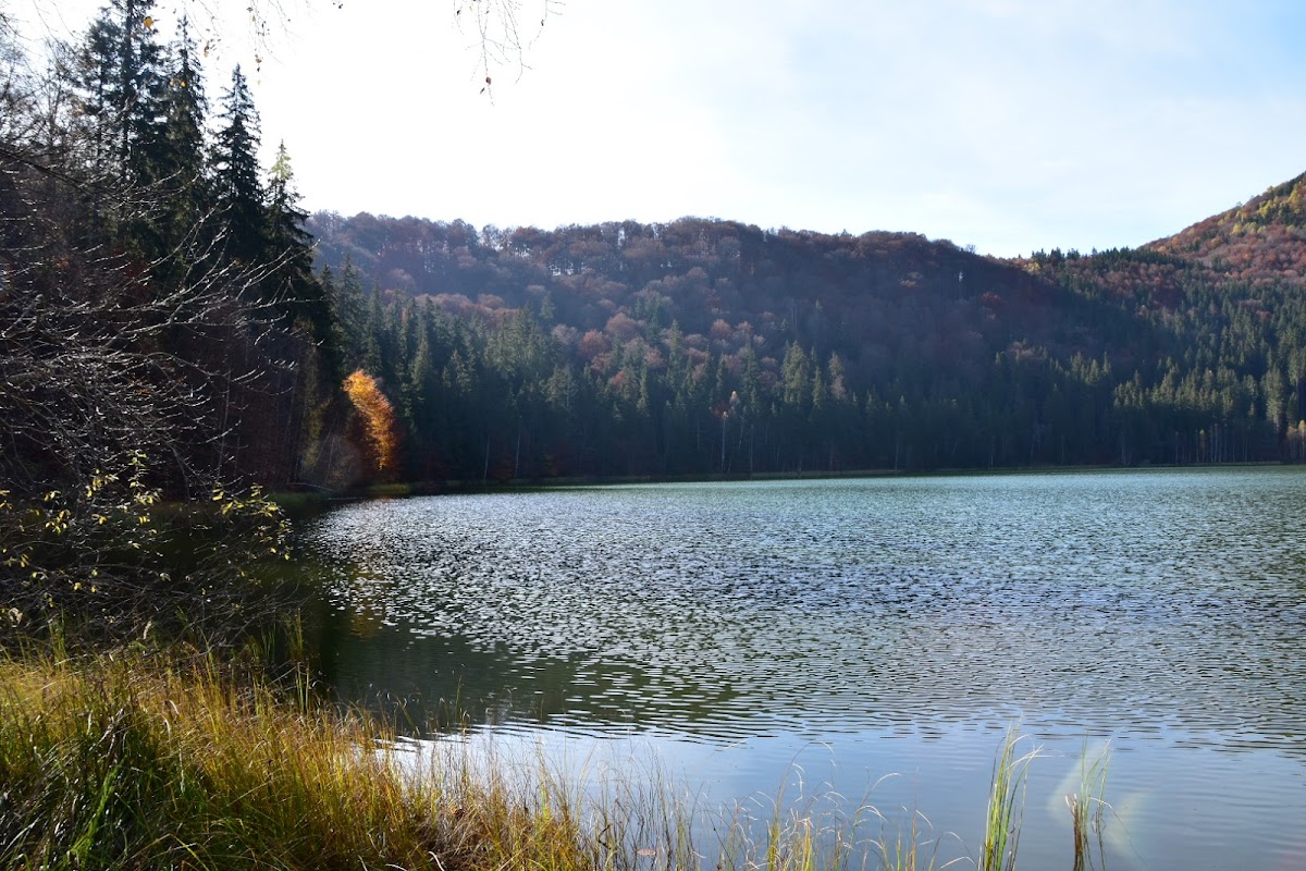 Lacul Sfanta Ana - foto 3