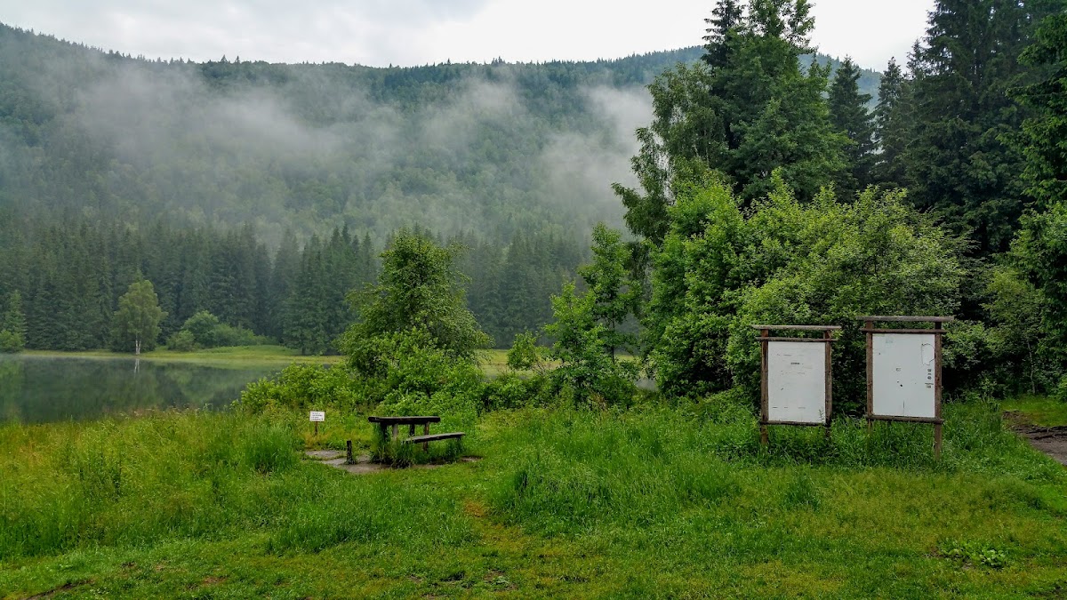 Lacul Sfanta Ana - foto 5