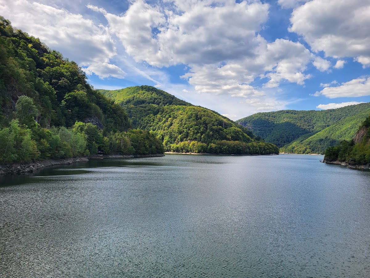 Lacul Tarnita - foto 1