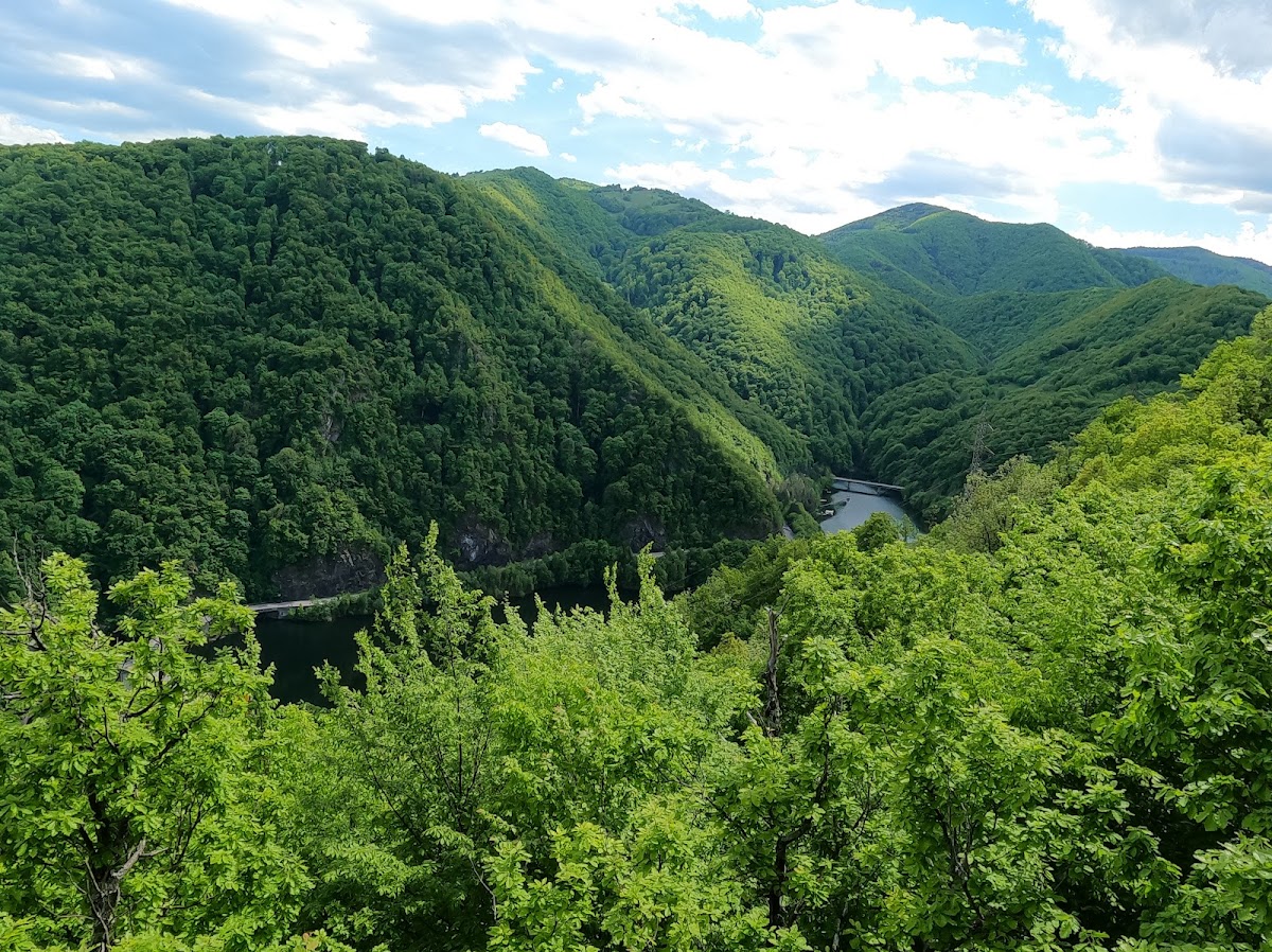 Lacul Tarnita - foto 5