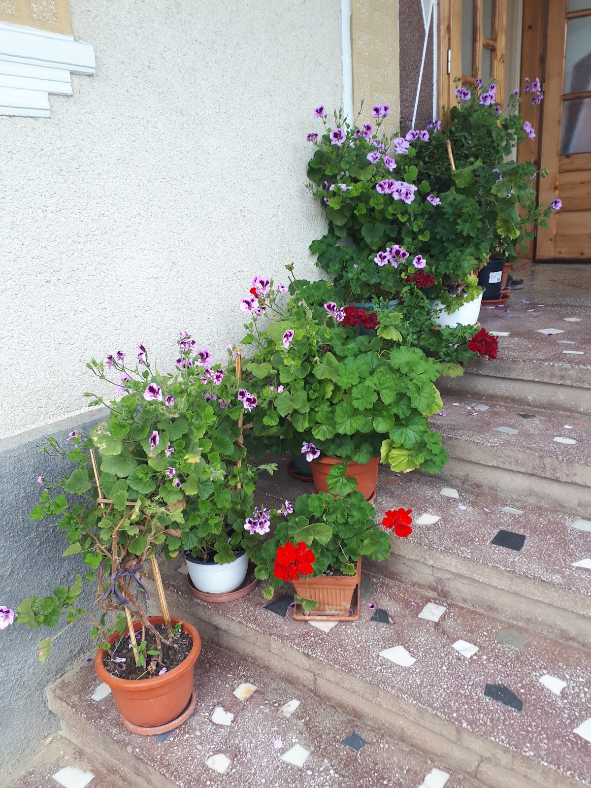 Legenden von Copalnic-Deal