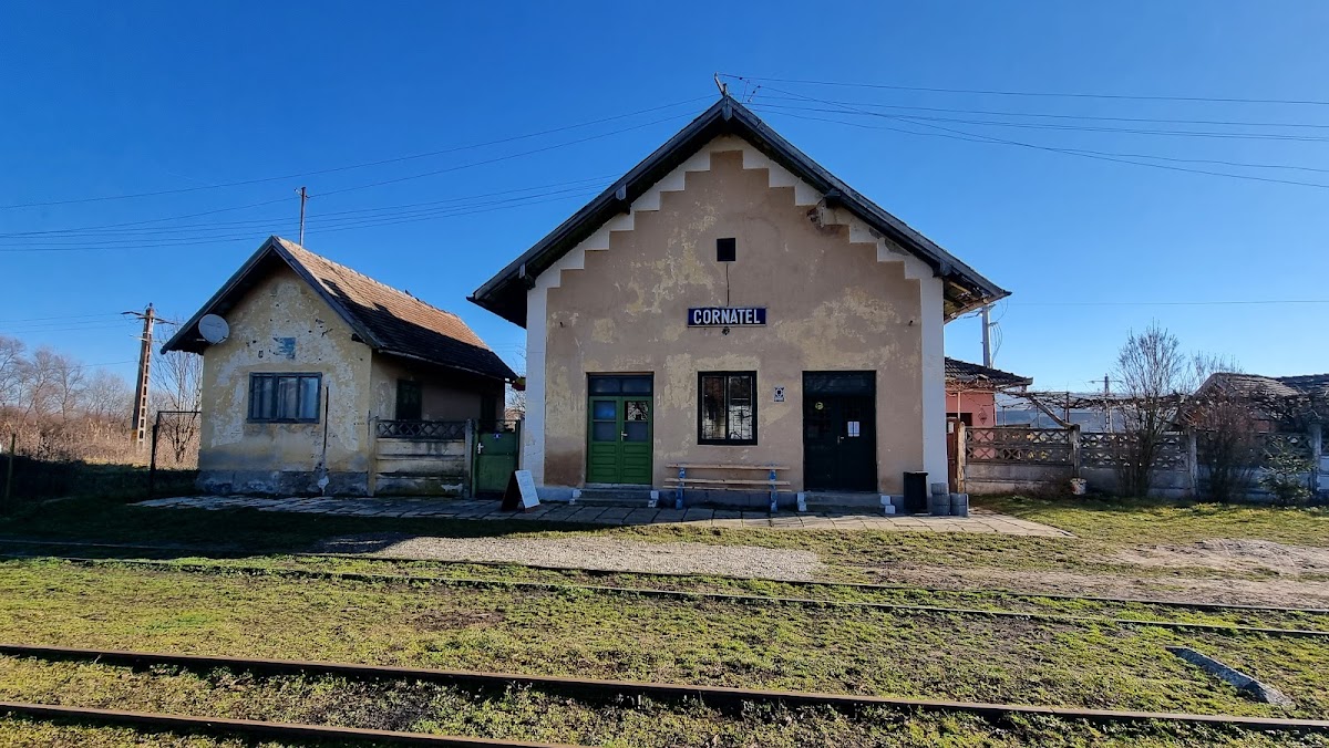 Mocănița de pe Valea Hârtibaciului