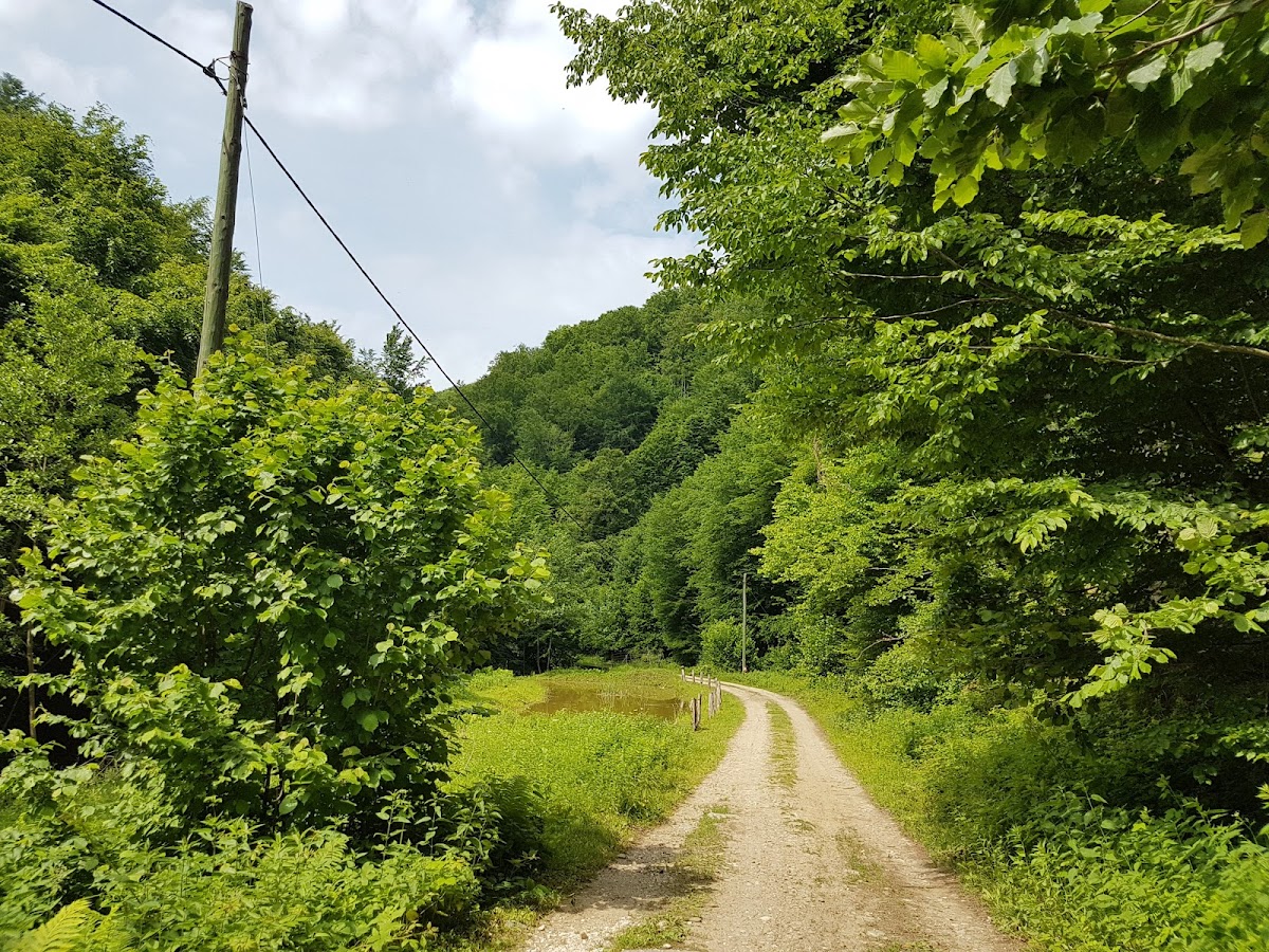 Hosok emlekmueve Groape