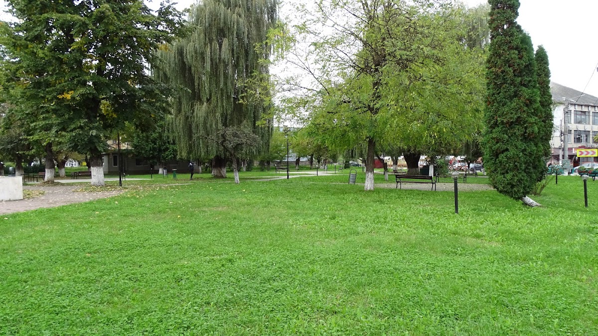 英雄纪念碑 Sălniţa - foto 3