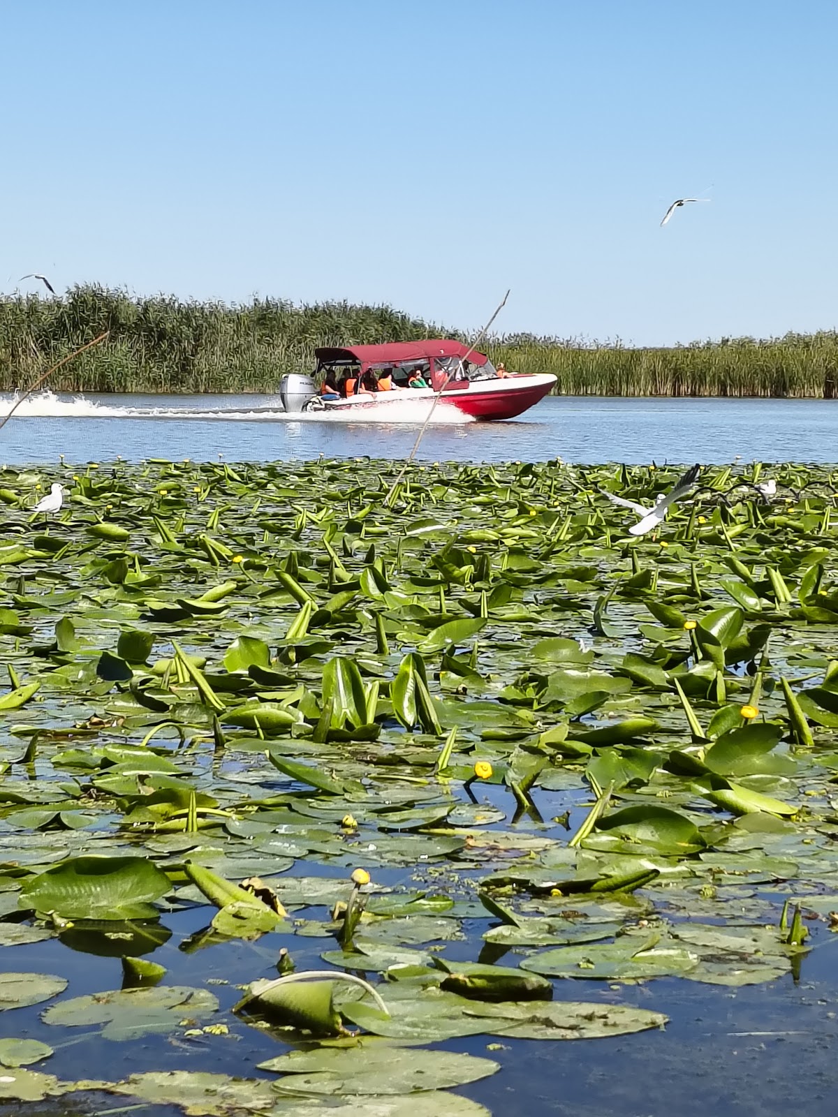 Murighiol Delta Dunarii
