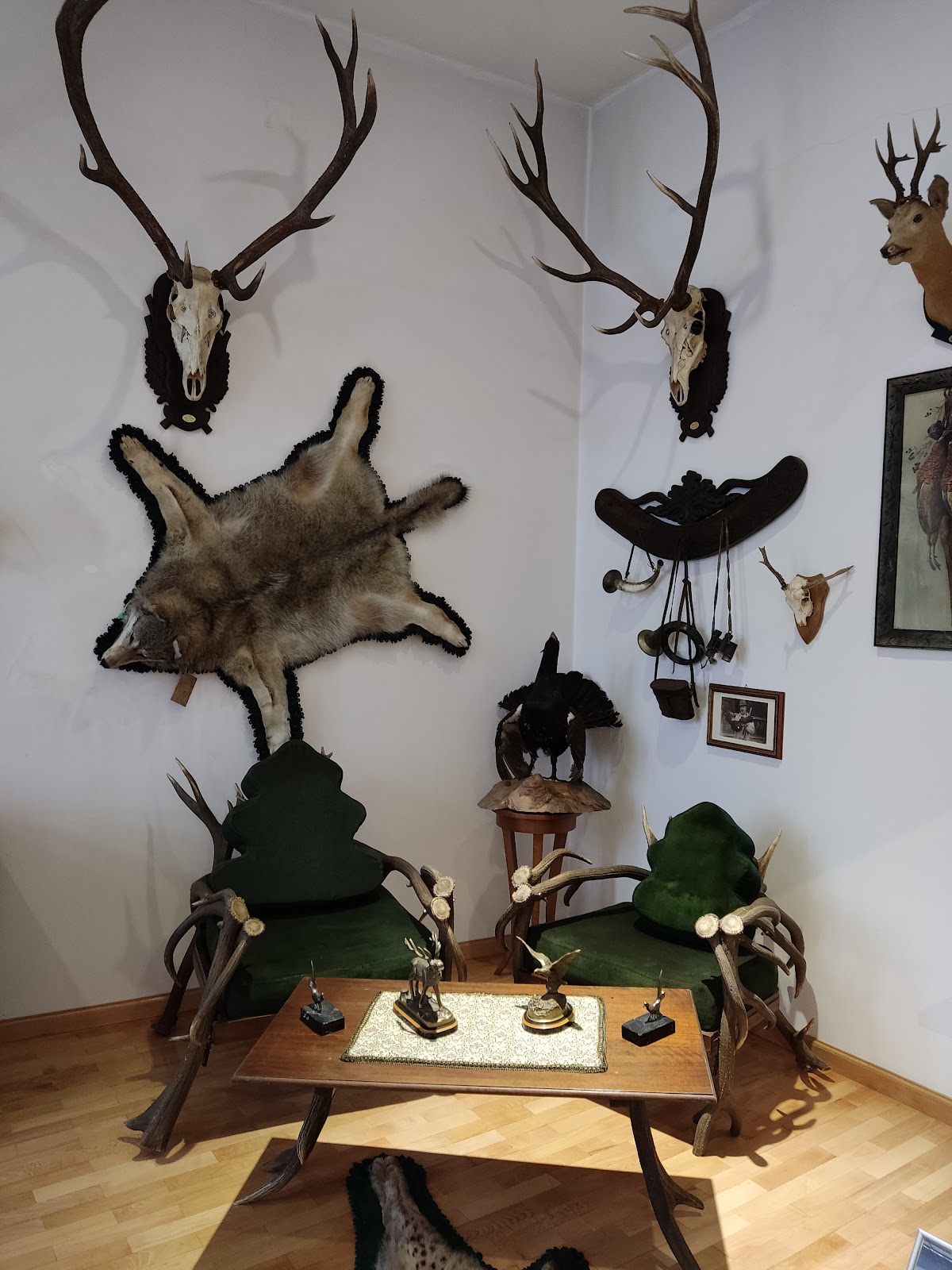 Museo de Caza de la Tierra Szekler