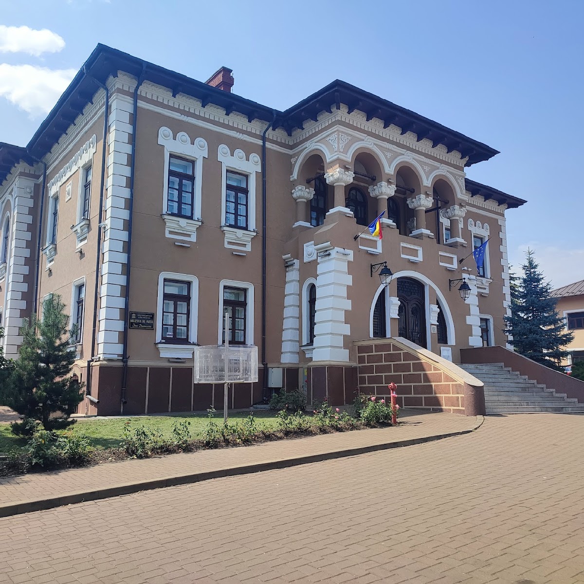 Kunstmuseum „Ion Irimescu“