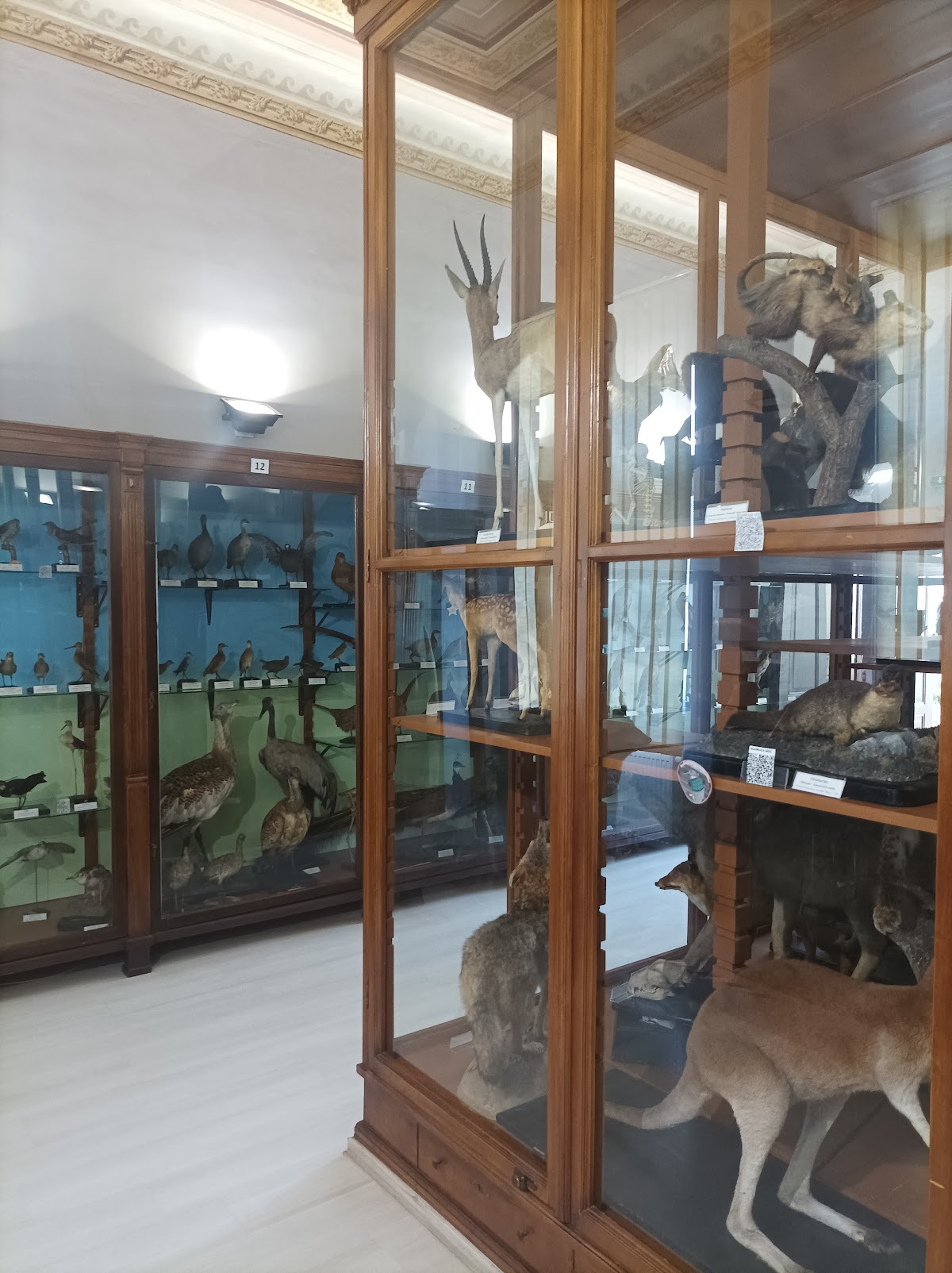 Museo de Ciencias Naturales
