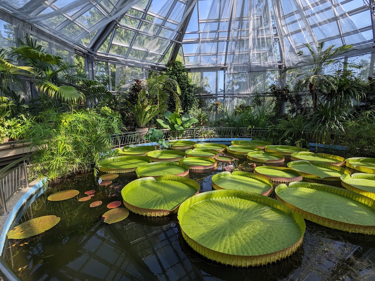 Museo del Jardín Botánico
