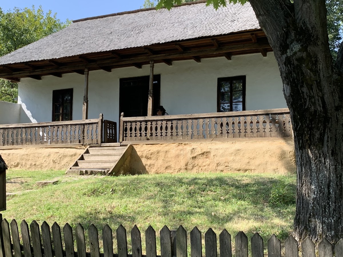 Museo Nazionale del Villaggio "Dimitrie Gusti" - foto 4