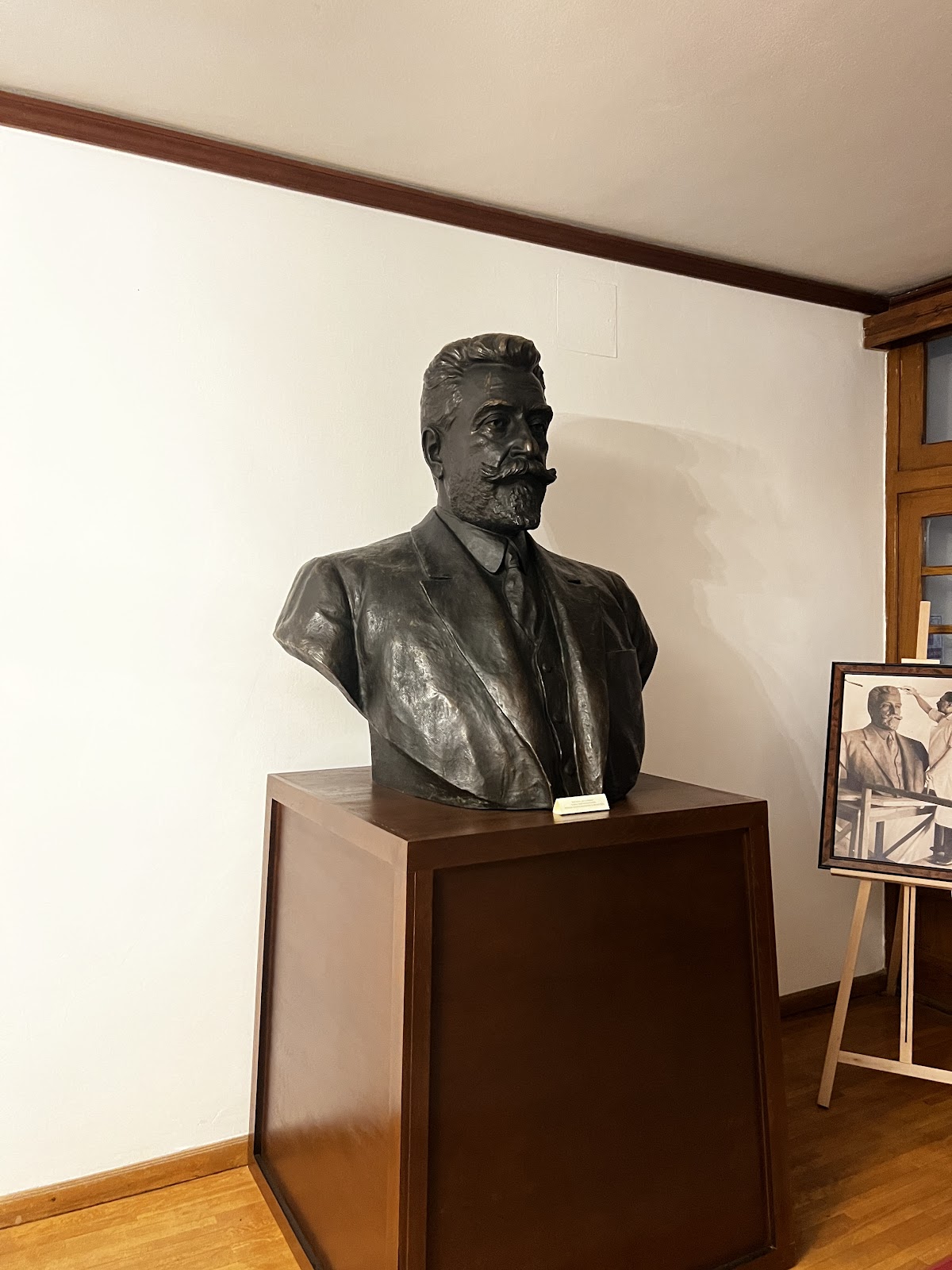 Brătianu Nemzeti Múzeum - Vila Florica - foto 5
