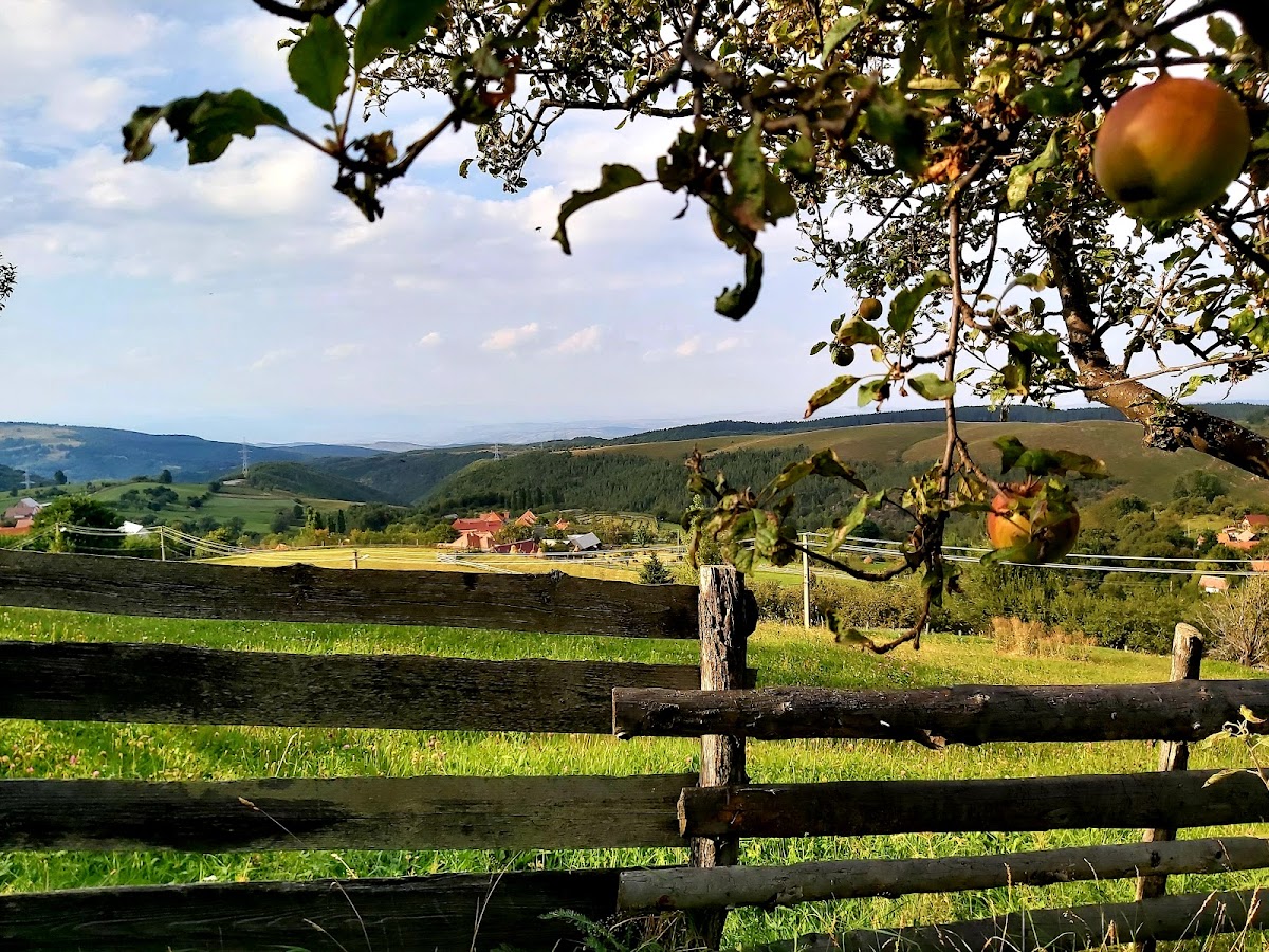 Muzeul Pastoral Jina