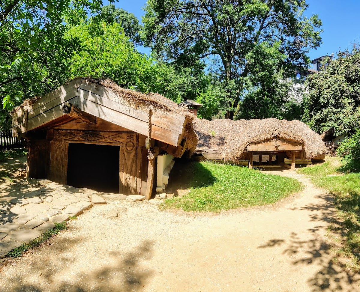 Muzeul Satului - foto 3