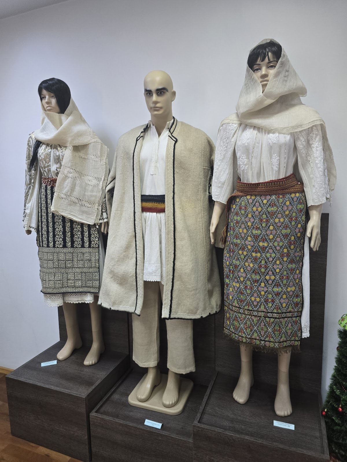 Museo de la Vid y el Vino de Drăgășani - foto 2