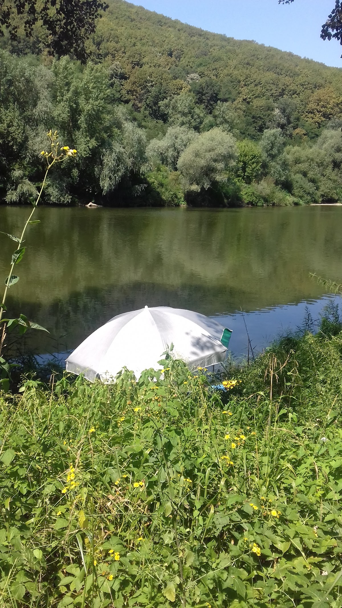 Nature around Chelinta