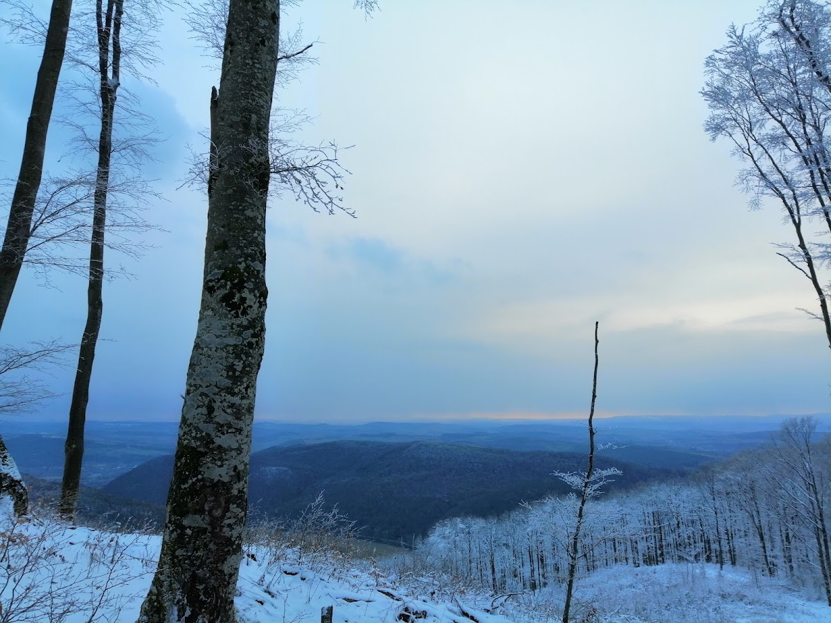 Nature around Dealu Mare