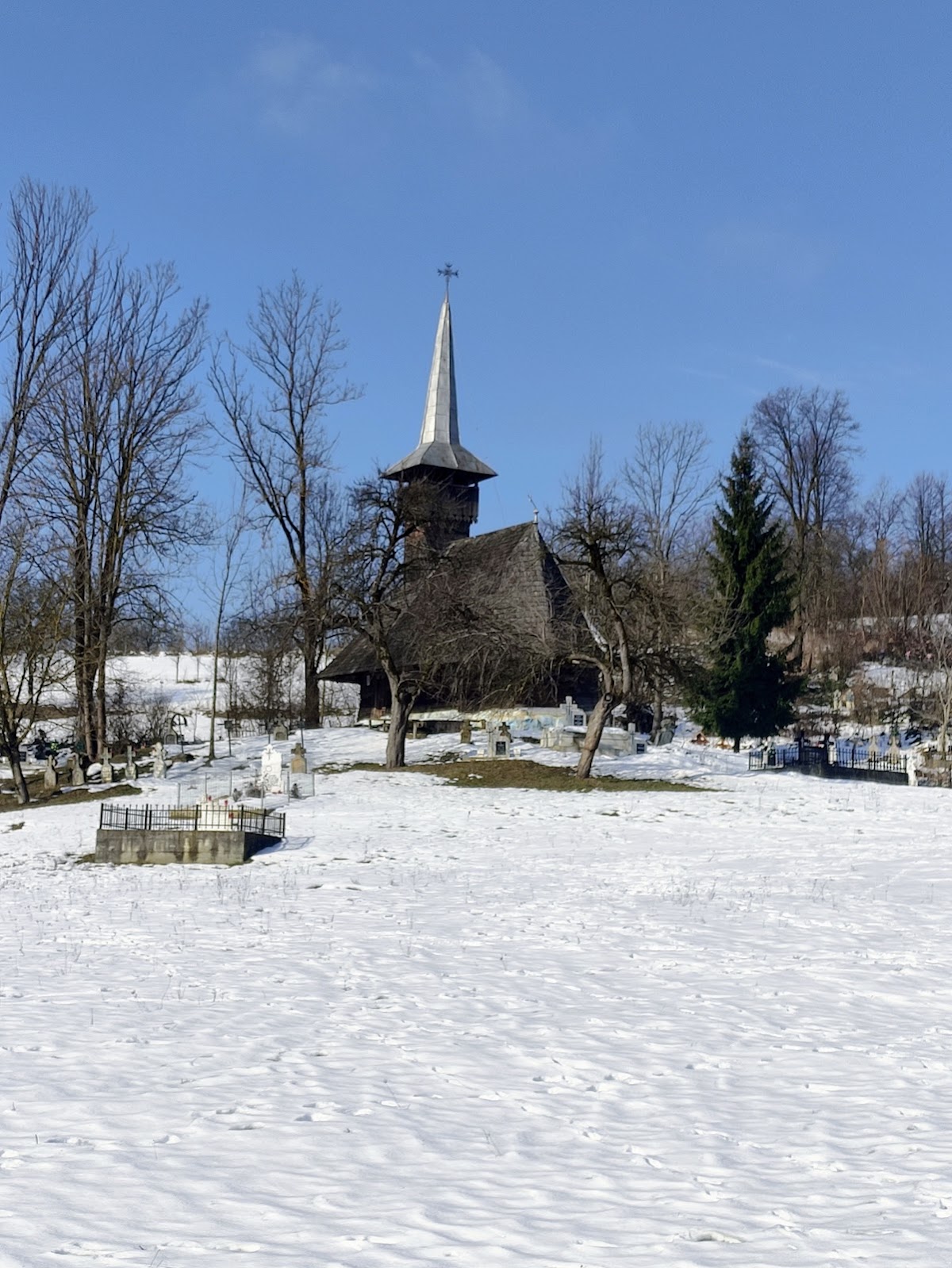 Nature around Dobricu Lapusului