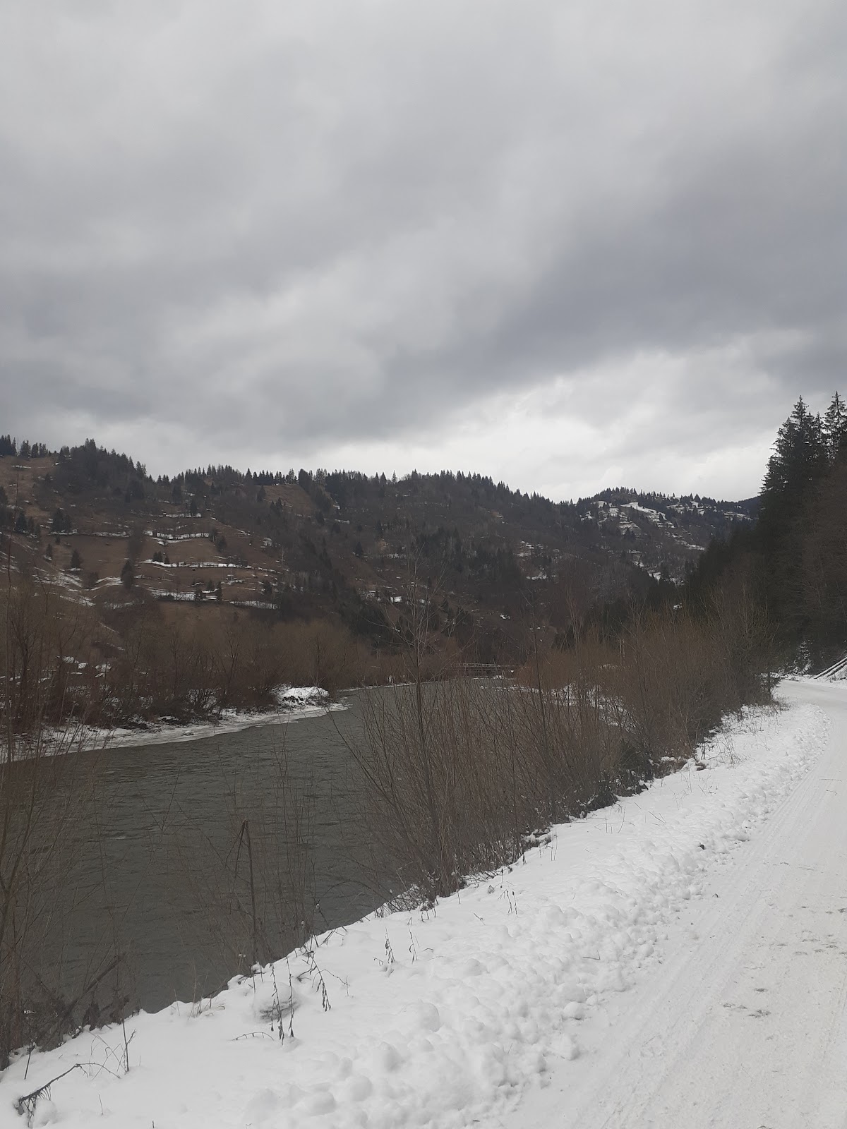 Nature around Farcasa