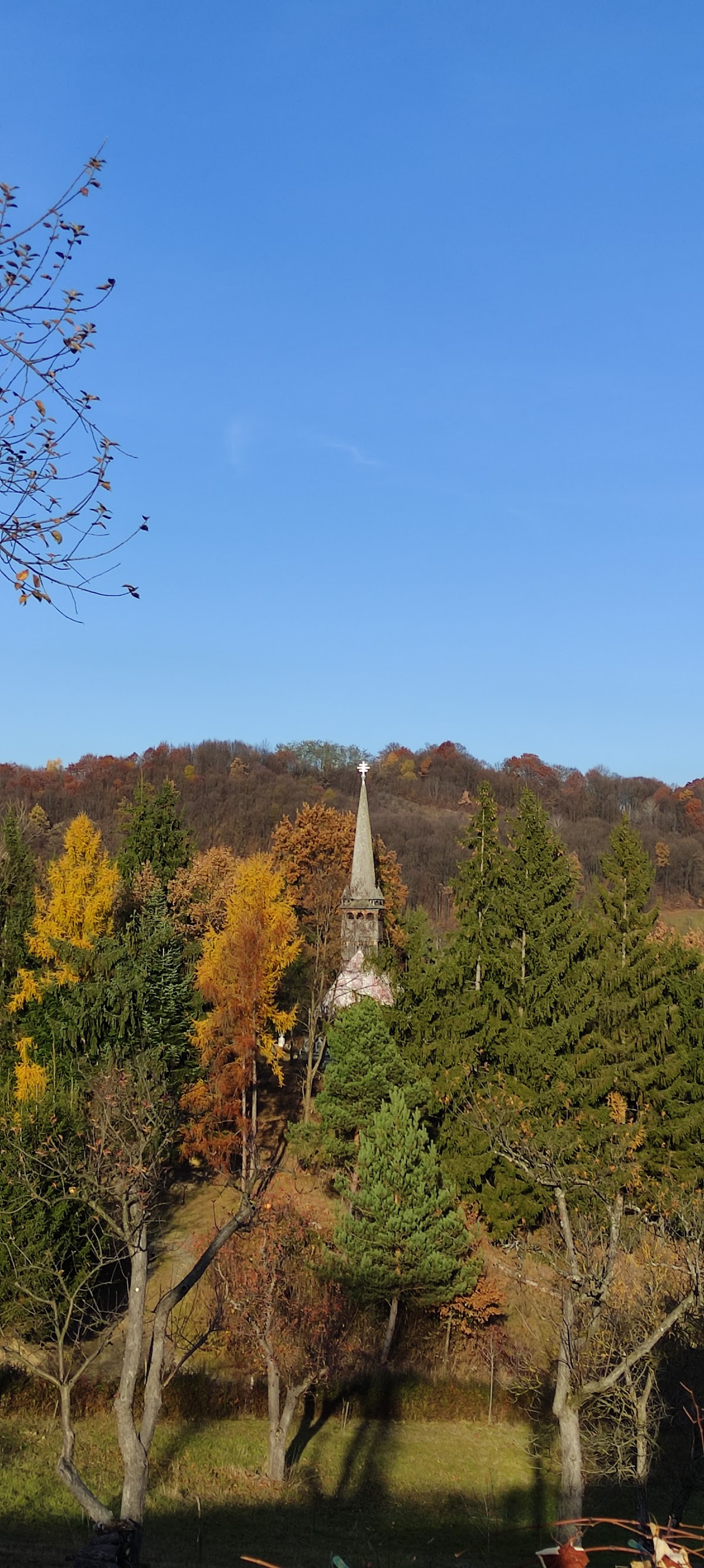 Natur um Stoiceni - foto 2
