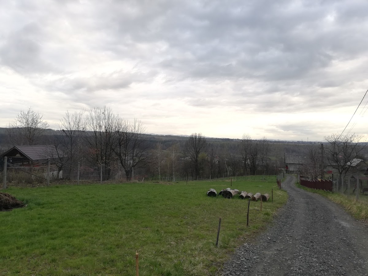 Folk customs of Tautii de Sus