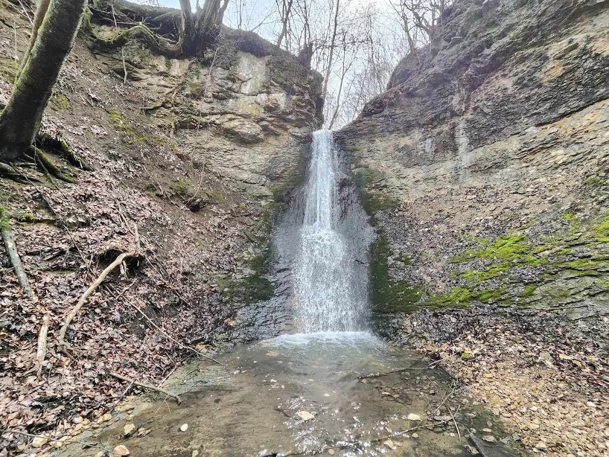 附近森林 Hovrila